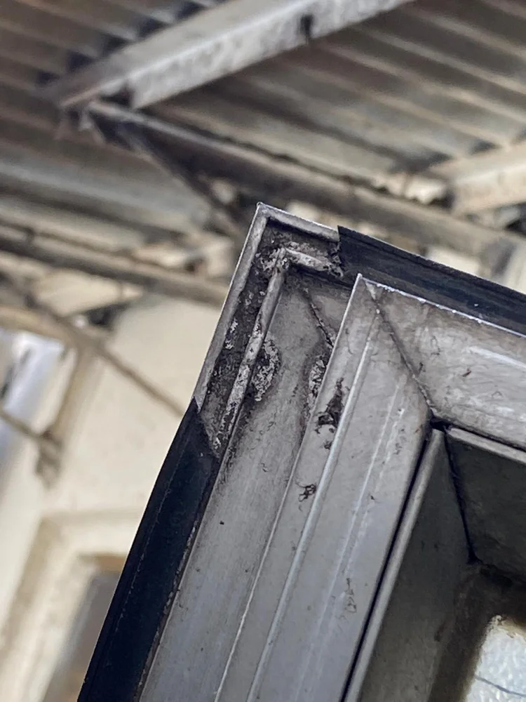 WhatsApp Image 2019-11-14 at 6.47.38 PM.jpeg